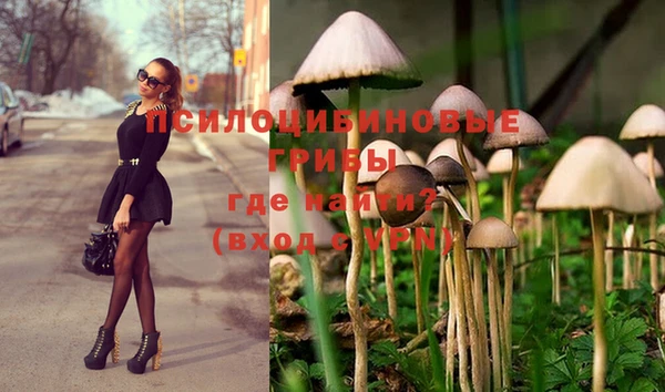 мяу мяу кристалл Мегион