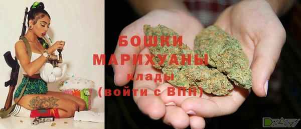 прущие грибы Кострома