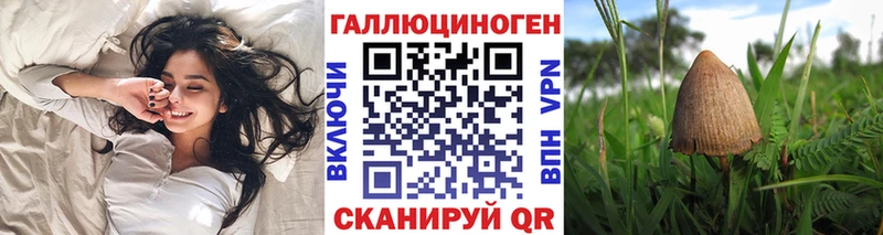 shop клад  Тихорецк  Галлюциногенные грибы GOLDEN TEACHER 